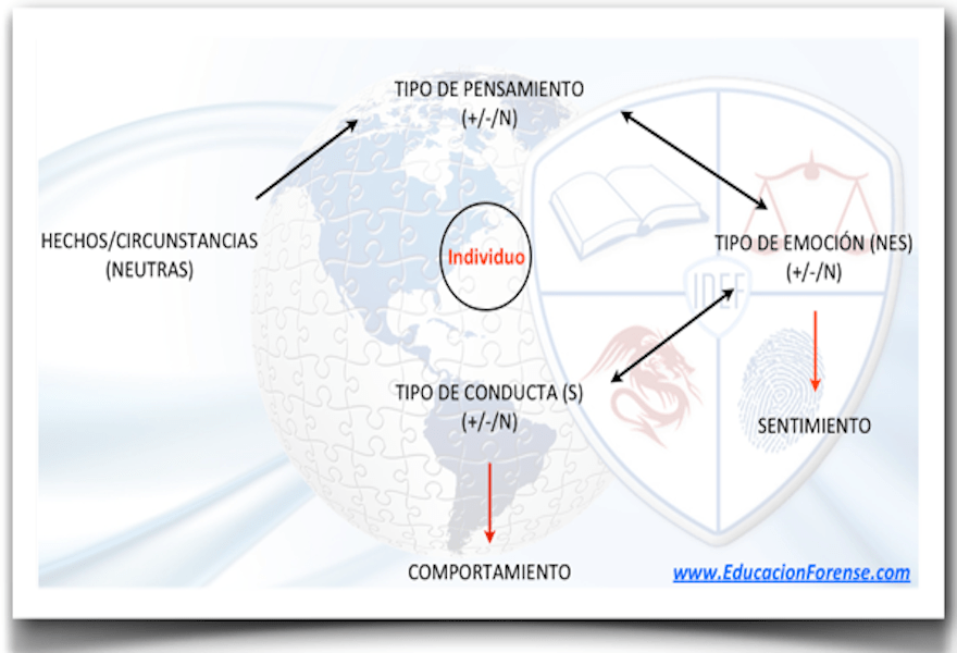 RELACION ENTRE EMOCION Y PSICOLOGIA&nbsp;FORENSE